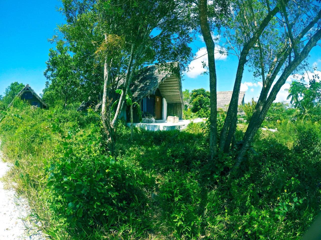 Отель Kae Funk Zanzibar Michamvi Kae Экстерьер фото